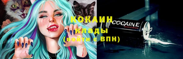 трава Богородицк