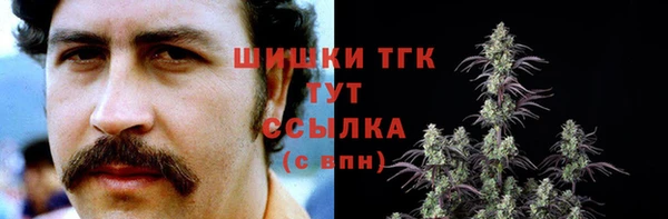 прущие крисы Бородино