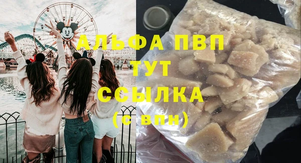 прущие крисы Бородино