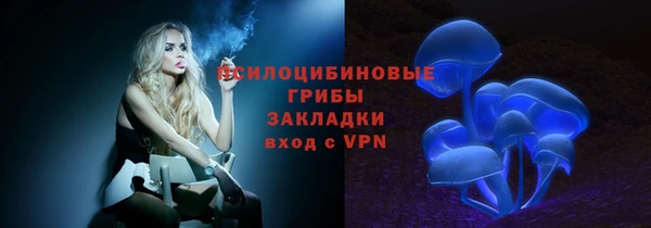 трава Богородицк