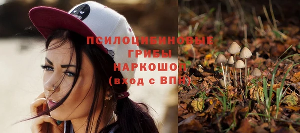 трава Богородицк