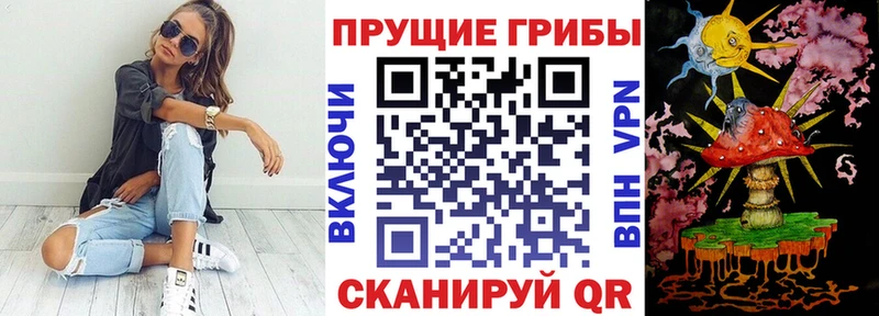 Галлюциногенные грибы Magic Shrooms где купить Купино